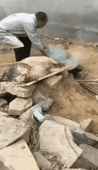 怎么弄皇冠信用_轻松一刻:用了这么久的表情包怎么弄皇冠信用,今天终于见到真人版了,哈哈哈