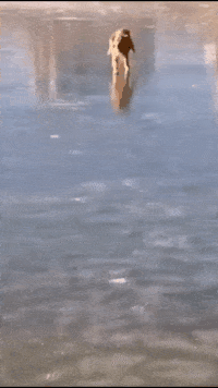 怎么弄皇冠信用_轻松一刻:用了这么久的表情包怎么弄皇冠信用,今天终于见到真人版了,哈哈哈