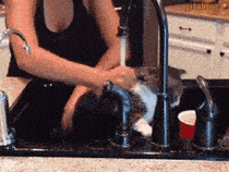 怎么弄皇冠信用_轻松一刻:用了这么久的表情包怎么弄皇冠信用,今天终于见到真人版了,哈哈哈