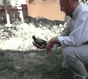 怎么弄皇冠信用_轻松一刻:用了这么久的表情包怎么弄皇冠信用,今天终于见到真人版了,哈哈哈