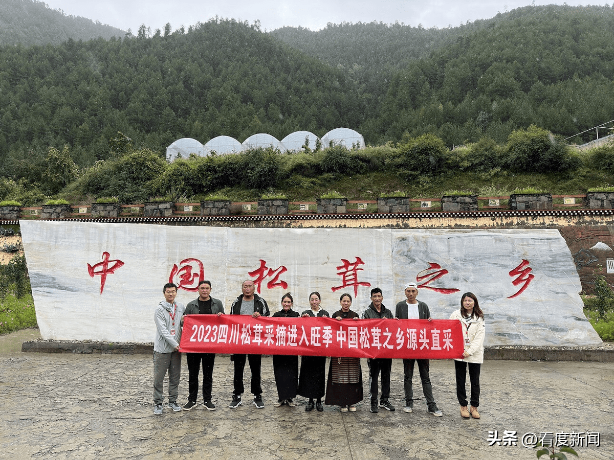 皇冠信用网正网_183元全网最低价 松茸品尝正当时皇冠信用网正网!