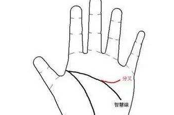 皇冠信用网可以占几成_手相算命:四种横财运超旺的手相皇冠信用网可以占几成,事业有成,财富可观,你占几种