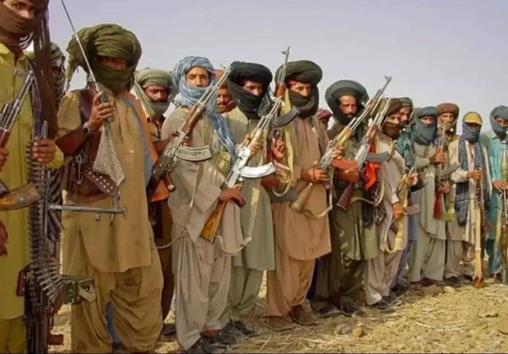 皇冠信用网代理登3_“俾路支”猖狂袭击中国人皇冠信用网代理登3,中巴反恐效果立竿见影,7名恐怖分子当场被毙