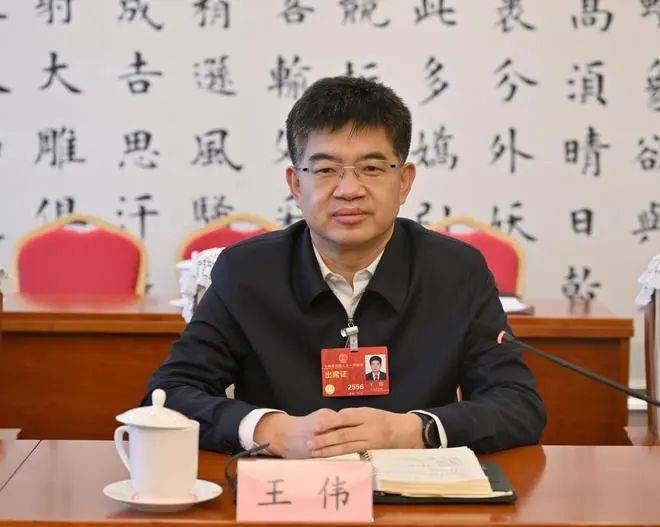 欧洲杯代理_厅长徐龙、市长王伟欧洲杯代理,职务对调