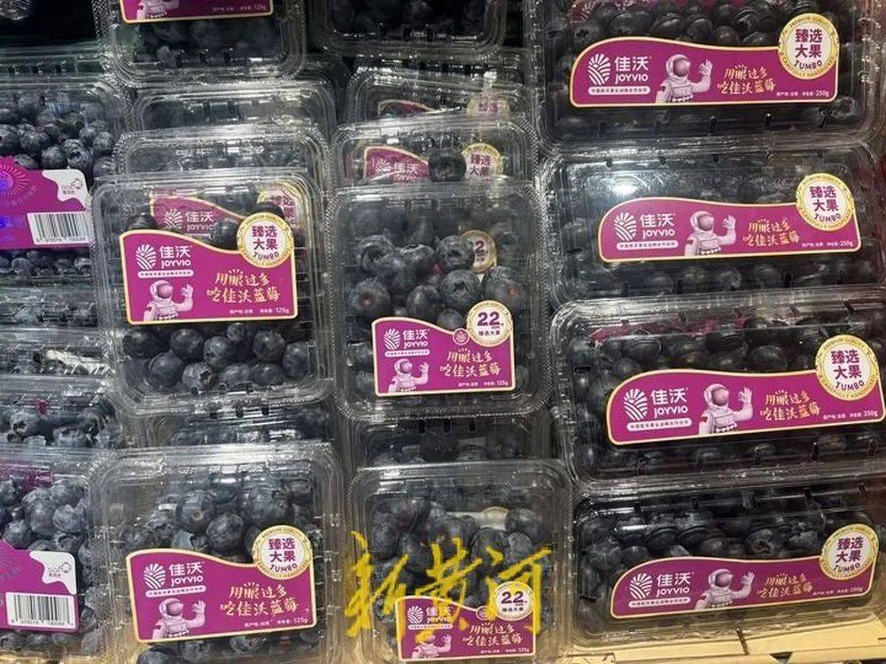 皇冠信用网怎么代理
_每斤40元至80元皇冠信用网怎么代理
,济南市场上,这一水果价格下跌