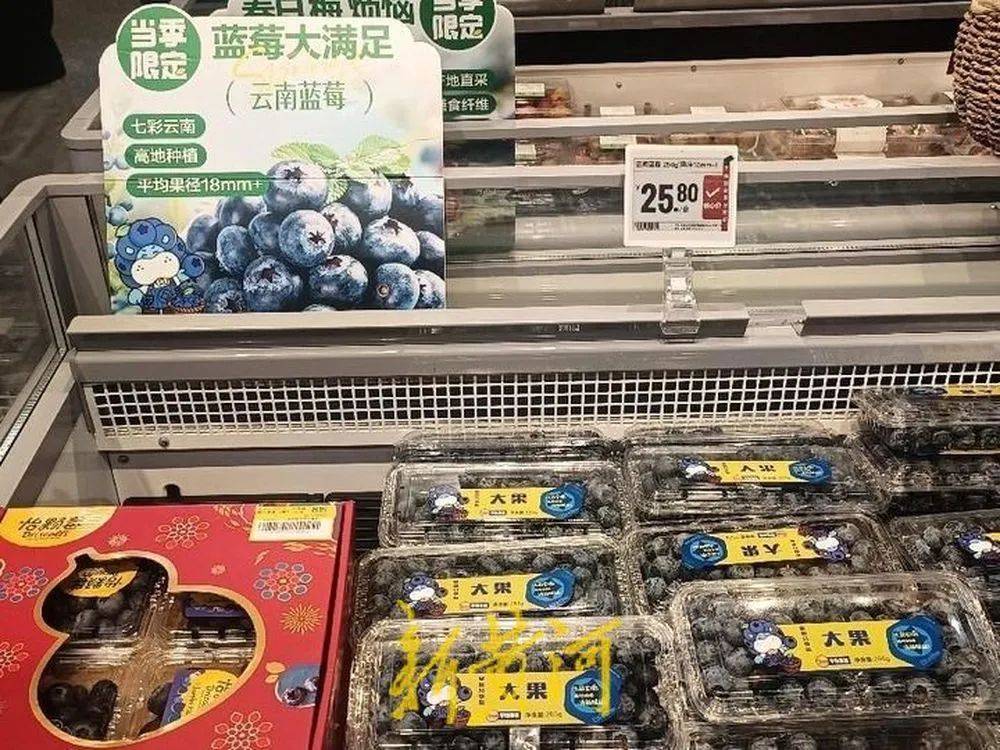 皇冠信用网怎么代理
_每斤40元至80元皇冠信用网怎么代理
,济南市场上,这一水果价格下跌