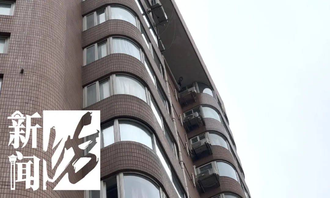 皇冠信用網
_现代版“农夫与蛇”?学生买房给上海教授养老皇冠信用網
,去世后教授家属要霸占房产?