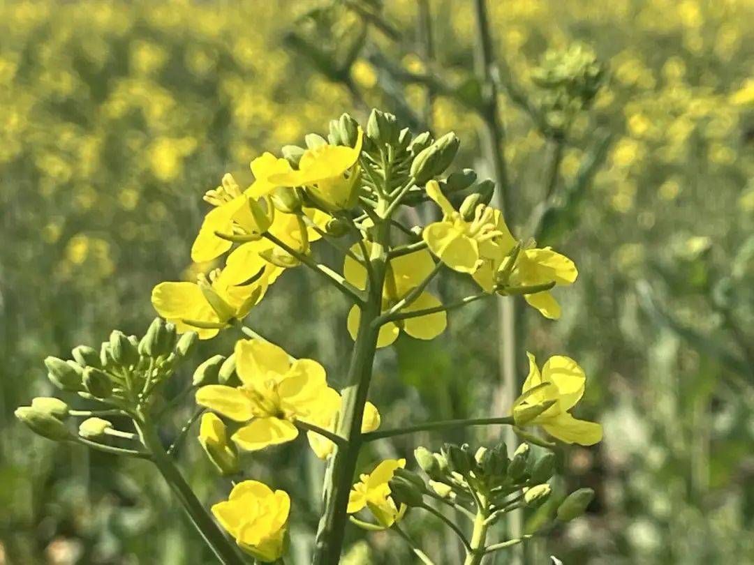 app足球正网
_暴降25℃app足球正网
!刚刚确认:杭州大反转!从这天开始......