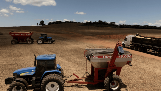 皇冠信用哪里申请
_巴西取代美国成中国最大的大豆供应国