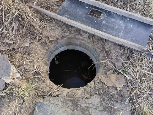 皇冠信用網会员注册网址
_大学生庙会兼职坠入“无主化粪池”溺亡 律师：旱厕归属方需担责