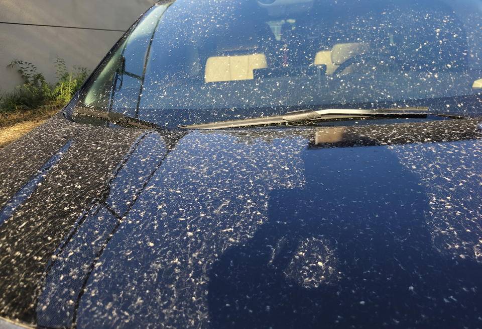 皇冠信用網登2登3
_昨晚这场暴风骤雨皇冠信用網登2登3
,让济南很多车辆变成“大花脸”