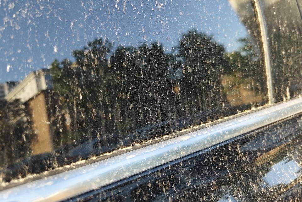 皇冠信用網登2登3
_昨晚这场暴风骤雨皇冠信用網登2登3
,让济南很多车辆变成“大花脸”