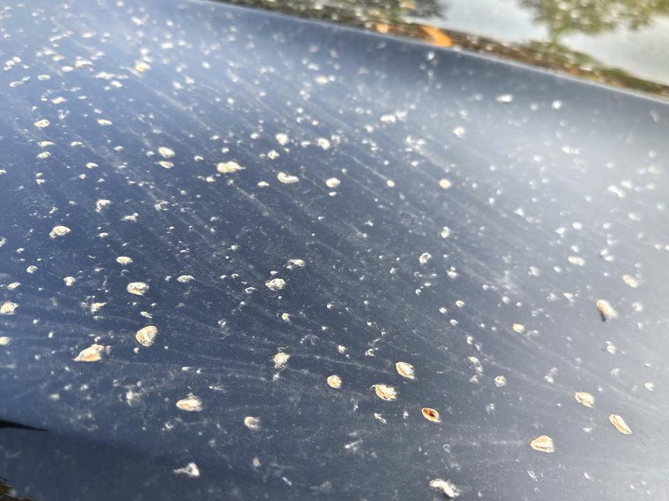 皇冠信用網登2登3
_昨晚这场暴风骤雨皇冠信用網登2登3
,让济南很多车辆变成“大花脸”