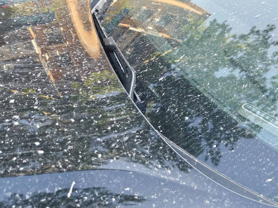 皇冠信用網登2登3
_昨晚这场暴风骤雨皇冠信用網登2登3
,让济南很多车辆变成“大花脸”