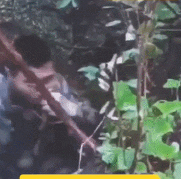 皇冠信用网怎么申请
_近日曝光！被印军包围皇冠信用网怎么申请
，两名落单解放军嘴咬手雷，誓死不当俘虏