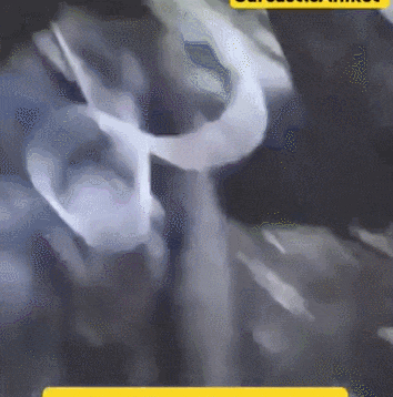 皇冠信用网怎么申请
_近日曝光！被印军包围皇冠信用网怎么申请
，两名落单解放军嘴咬手雷，誓死不当俘虏