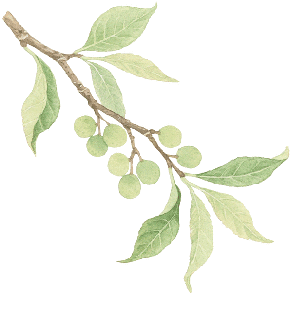 出租正规外围足彩app
_佛山一商家被立案调查:宣称喝酒有5大好处能治病出租正规外围足彩app
?