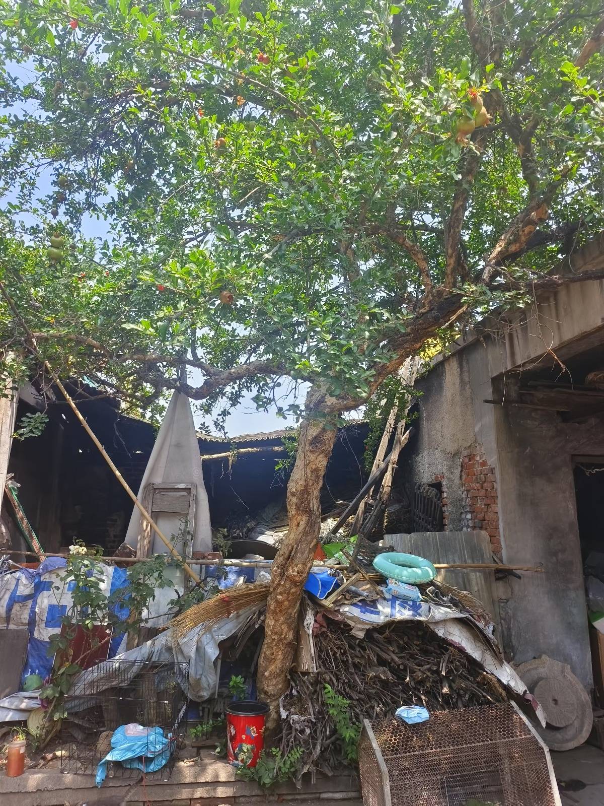 皇冠信用网代理流程
_女子回应求交房视频被指“擦边”:什么样的人就会有什么眼光