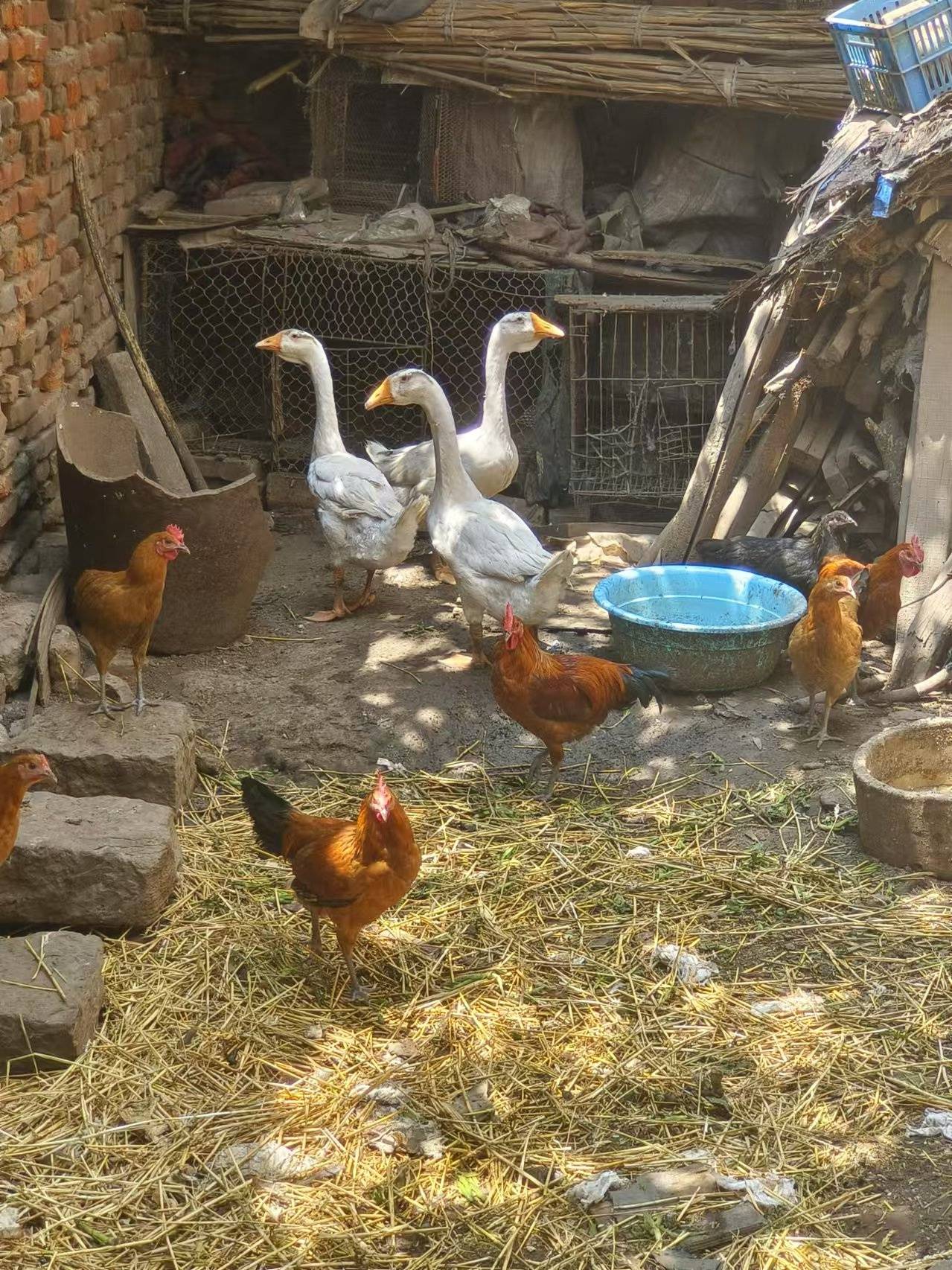 皇冠信用网代理流程
_女子回应求交房视频被指“擦边”:什么样的人就会有什么眼光