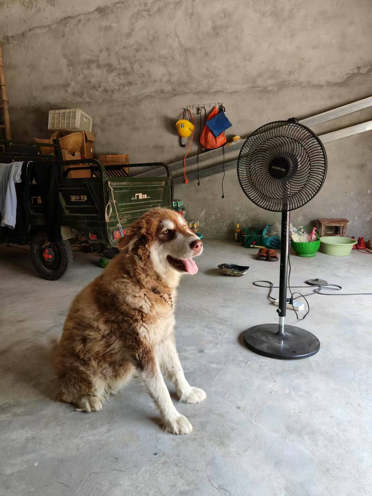 帕丘卡足球_00后女孩醉驾时速174公里撞死3人帕丘卡足球,逝者母亲:我每天都活在痛苦中