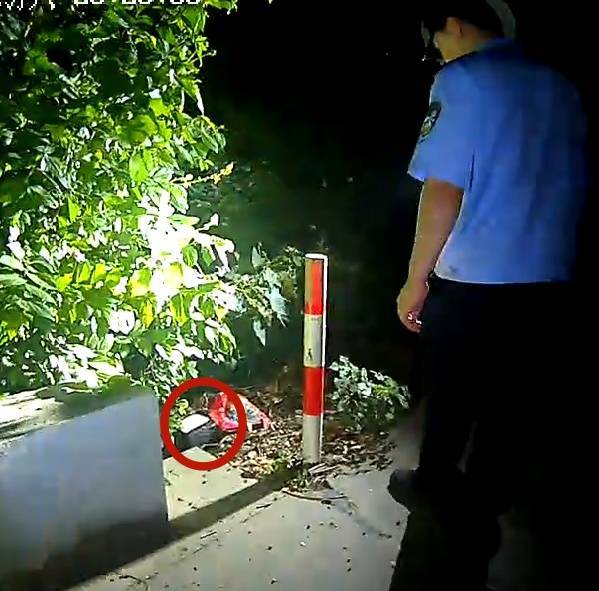 正网皇冠信用网_浙江一姑娘以奶茶为记号正网皇冠信用网,竟然在草丛里藏了11万现金!