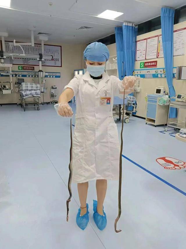 皇冠信用網登123出租_广东62岁阿叔网鱼网到2条眼镜蛇皇冠信用網登123出租,被咬伤后当场打死,并打包提进医院